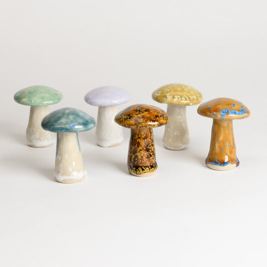 Mushroom - Porcini