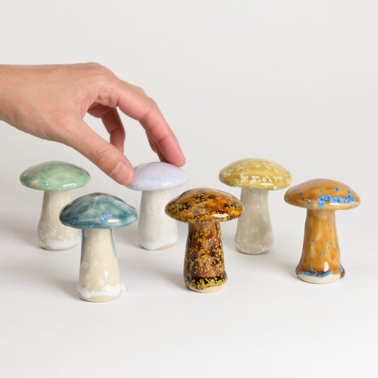 Mushroom - Porcini