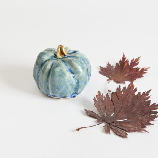 Pumpkin - Teal #1