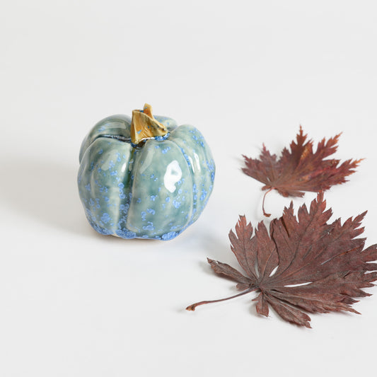 Pumpkin - Teal #3