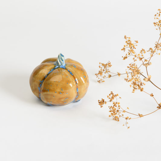 Pumpkin - Amber #1