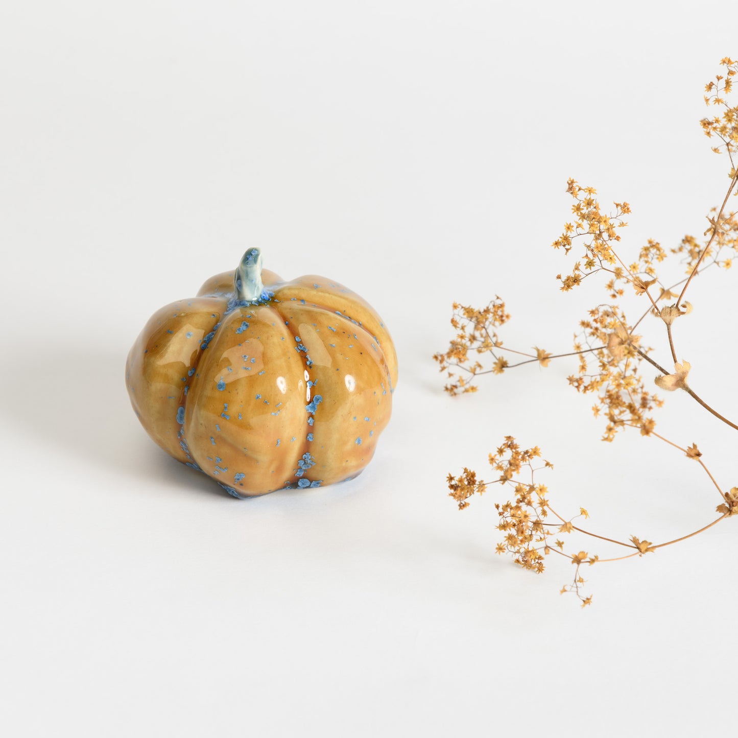 Pumpkin - Amber #1