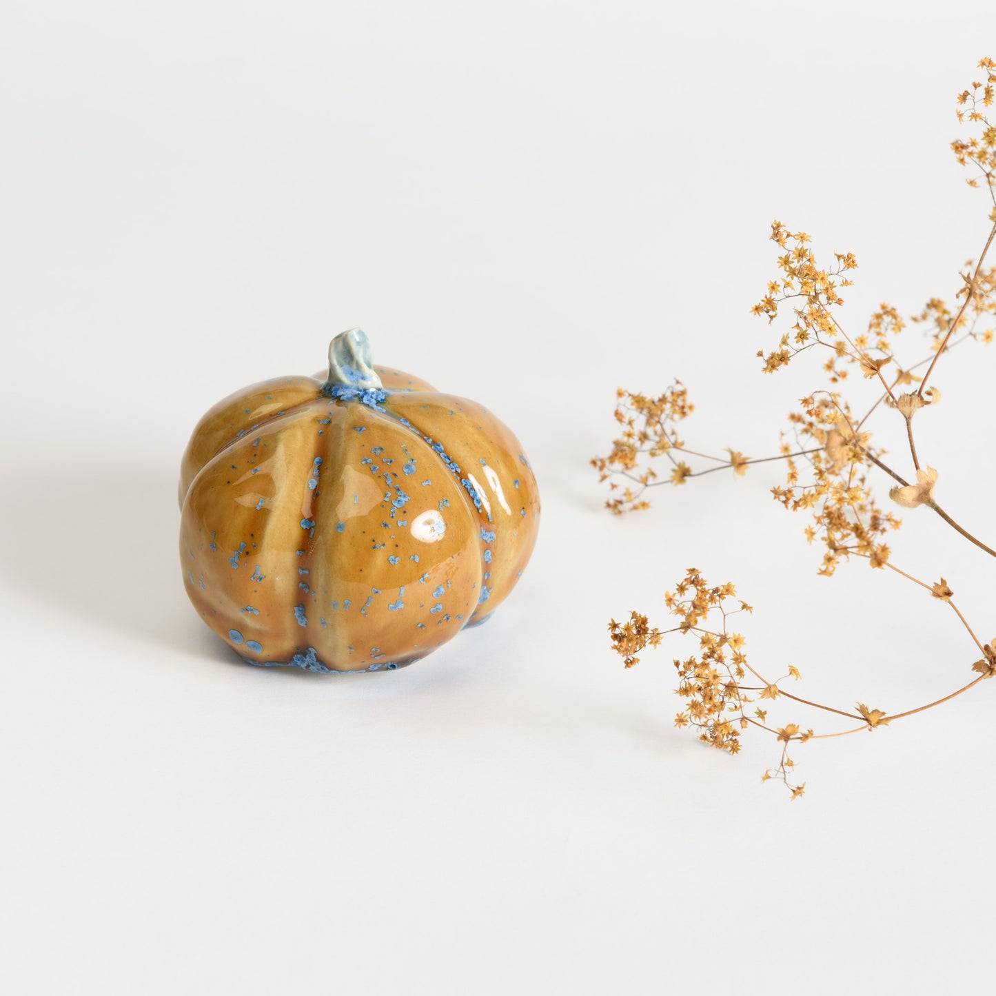 Pumpkin - Amber #1