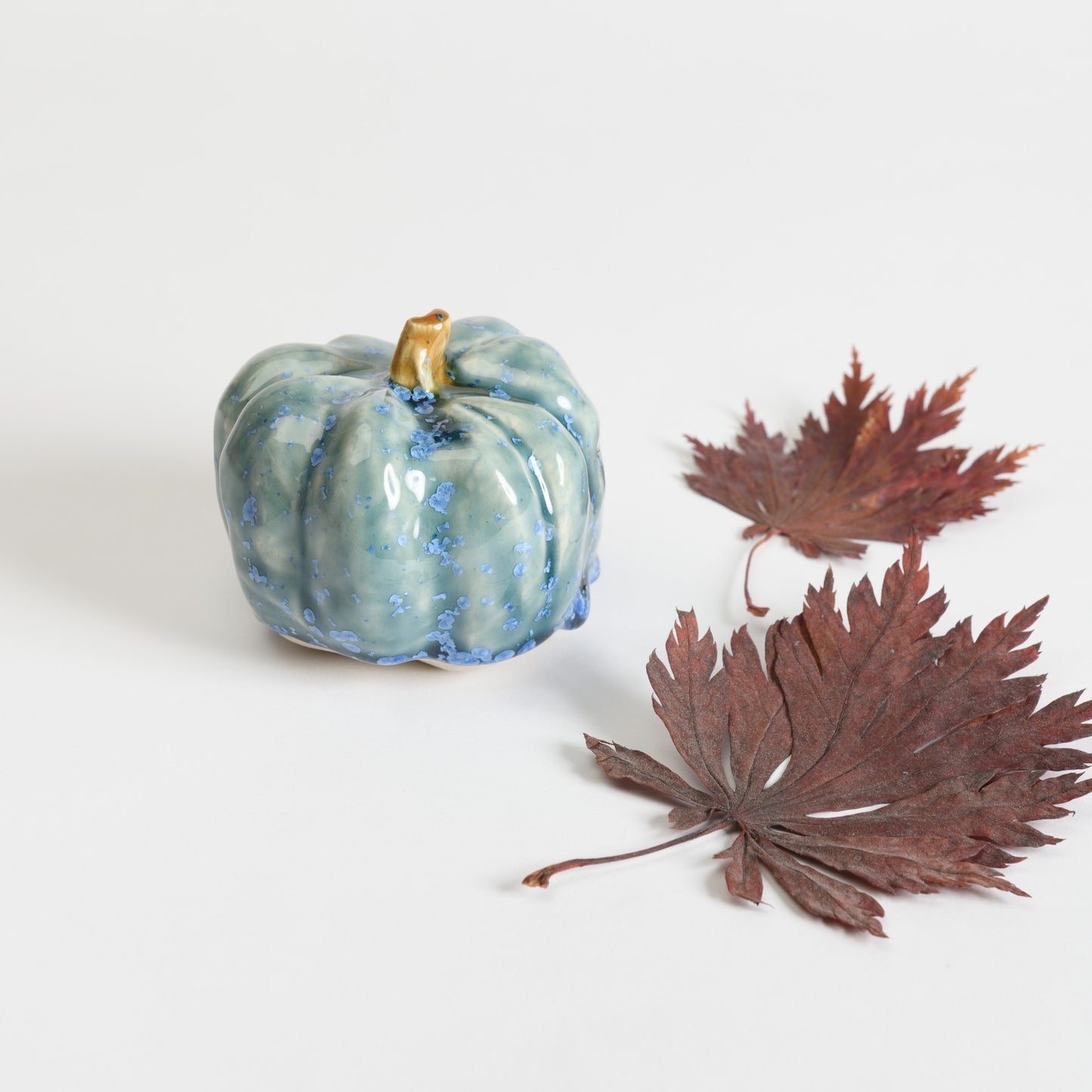 Pumpkin - Teal #1