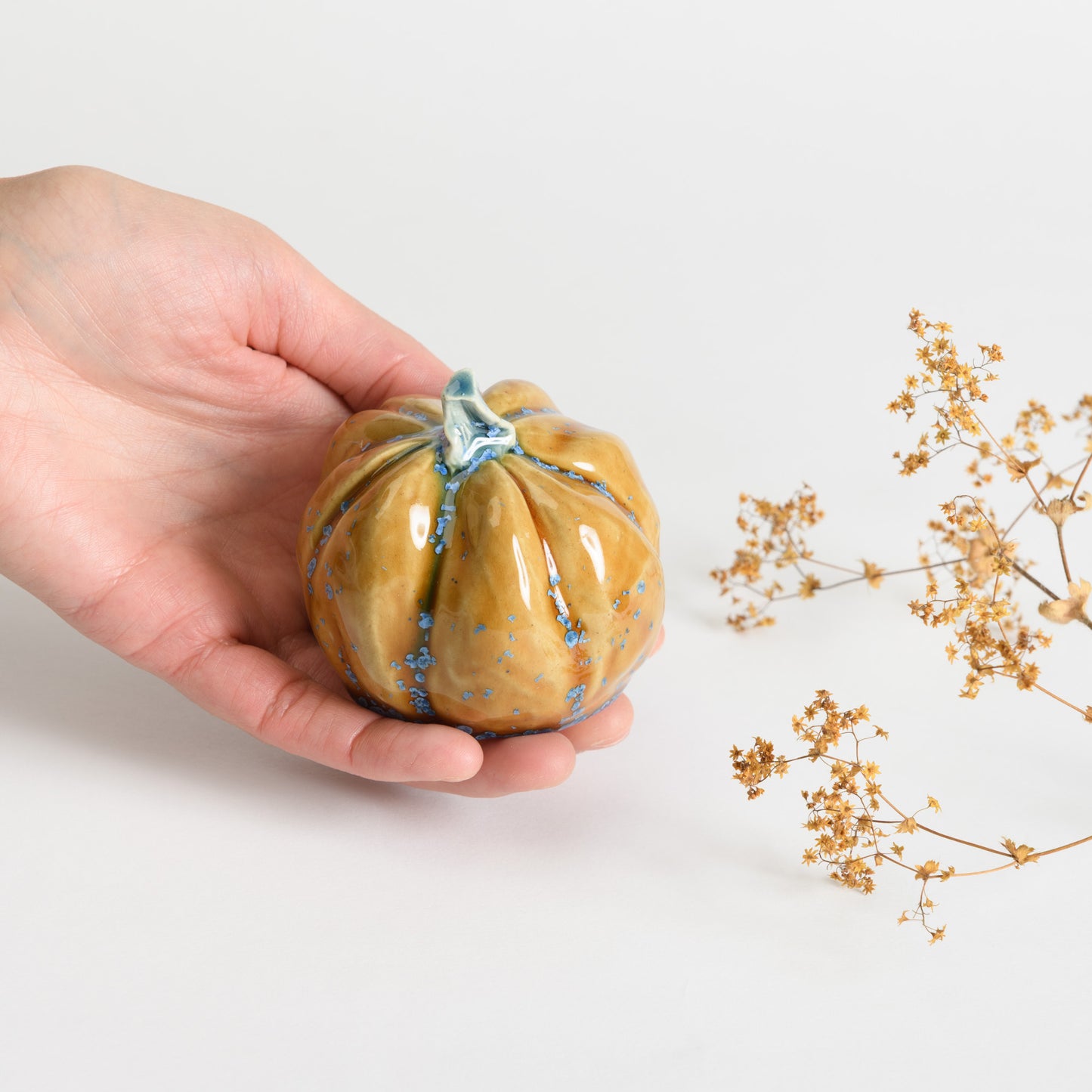 Pumpkin - Amber #2