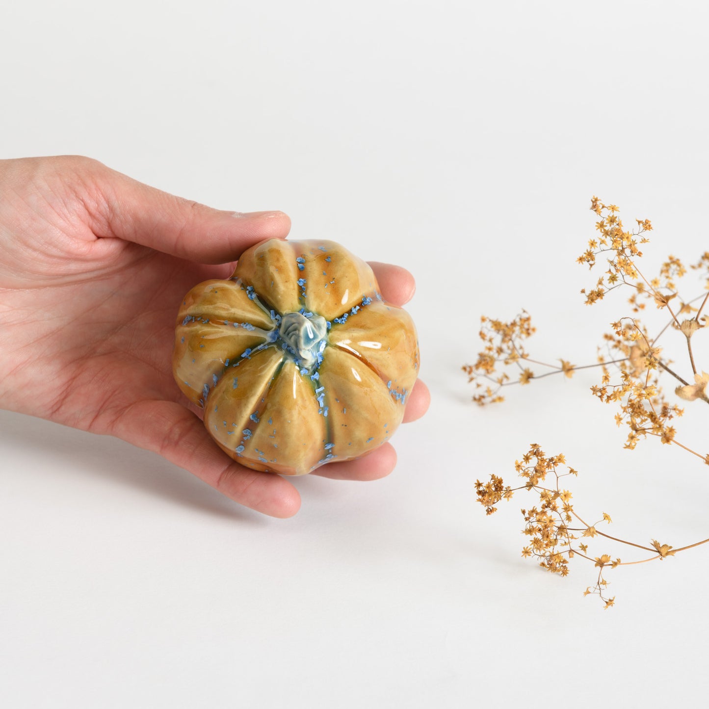 Pumpkin - Amber #2