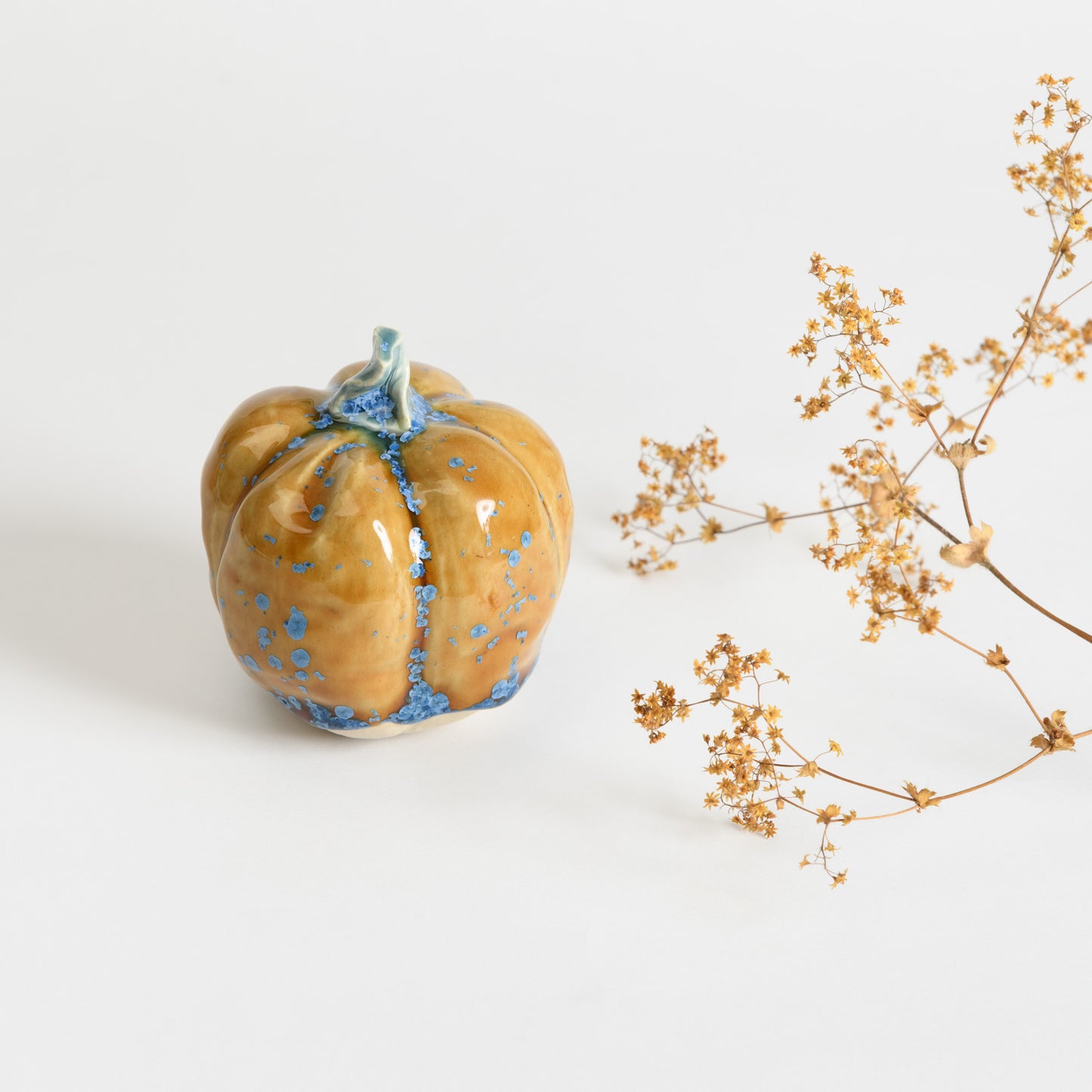 Pumpkin - Amber #3