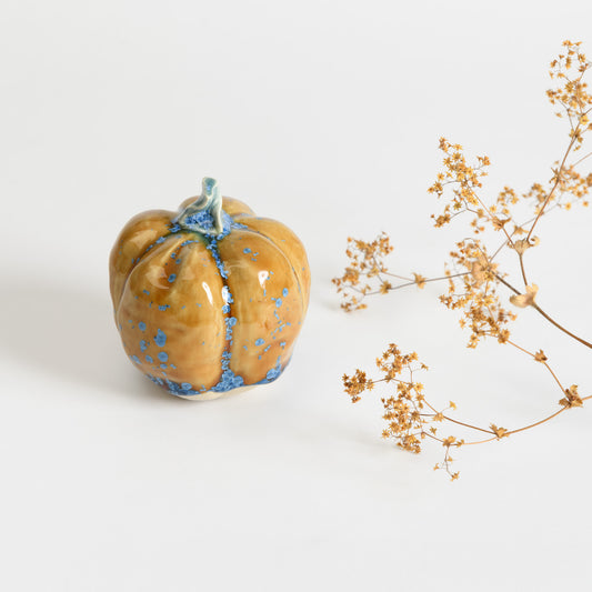 Pumpkin - Amber #3