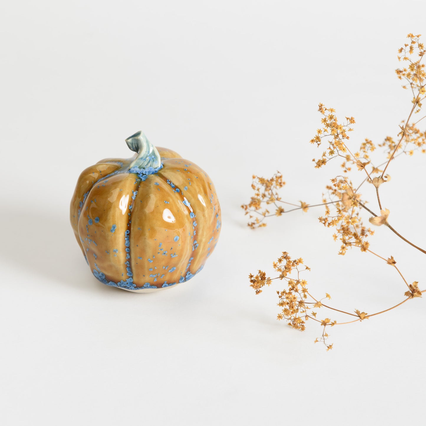 Pumpkin - Amber #3