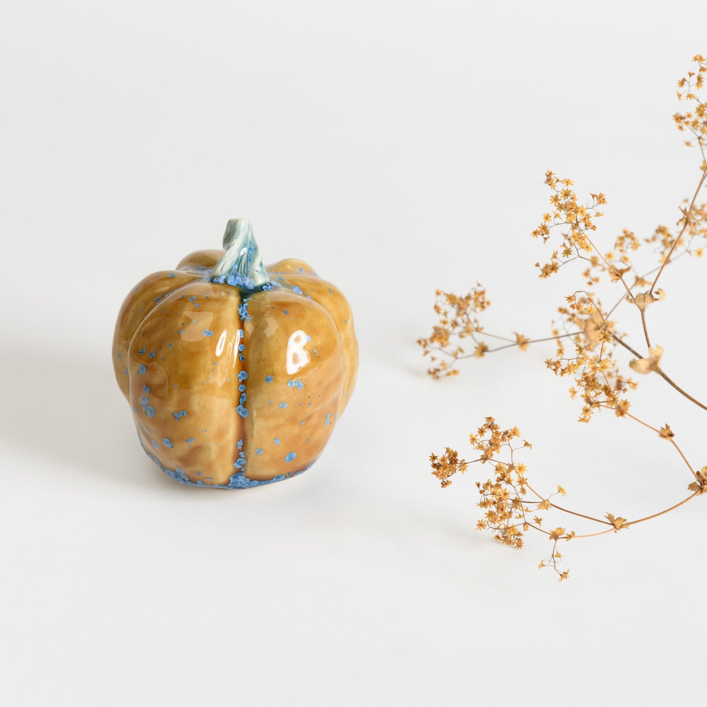 Pumpkin - Amber #3
