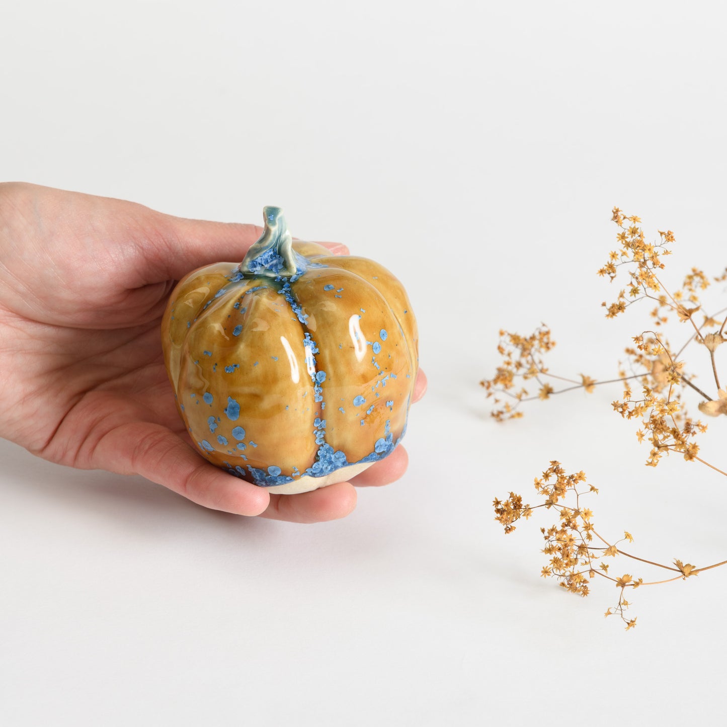 Pumpkin - Amber #3