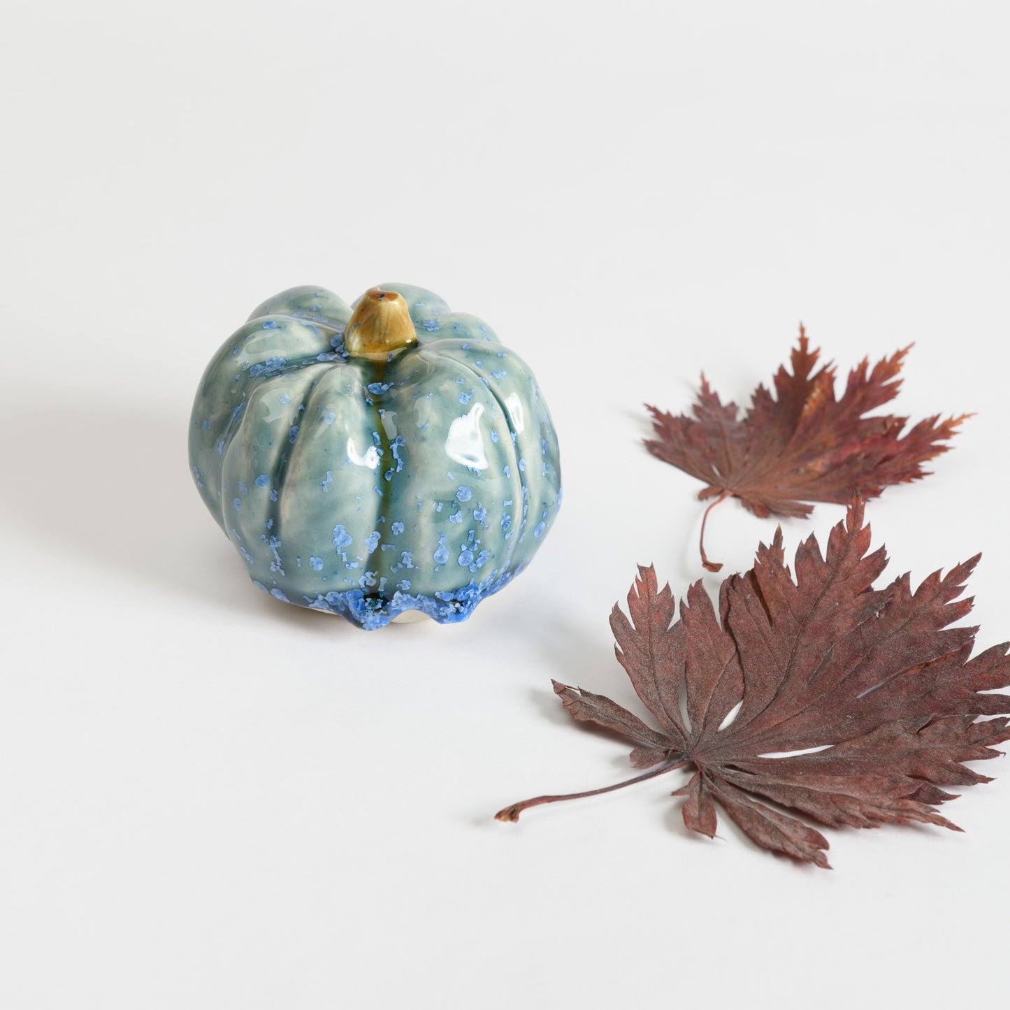 Pumpkin - Teal #1