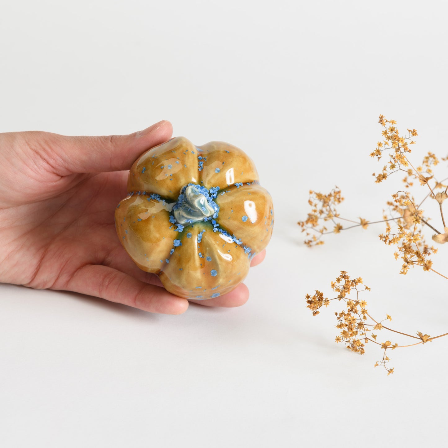 Pumpkin - Amber #3