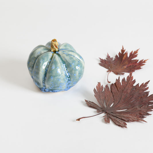 Pumpkin - Teal #2