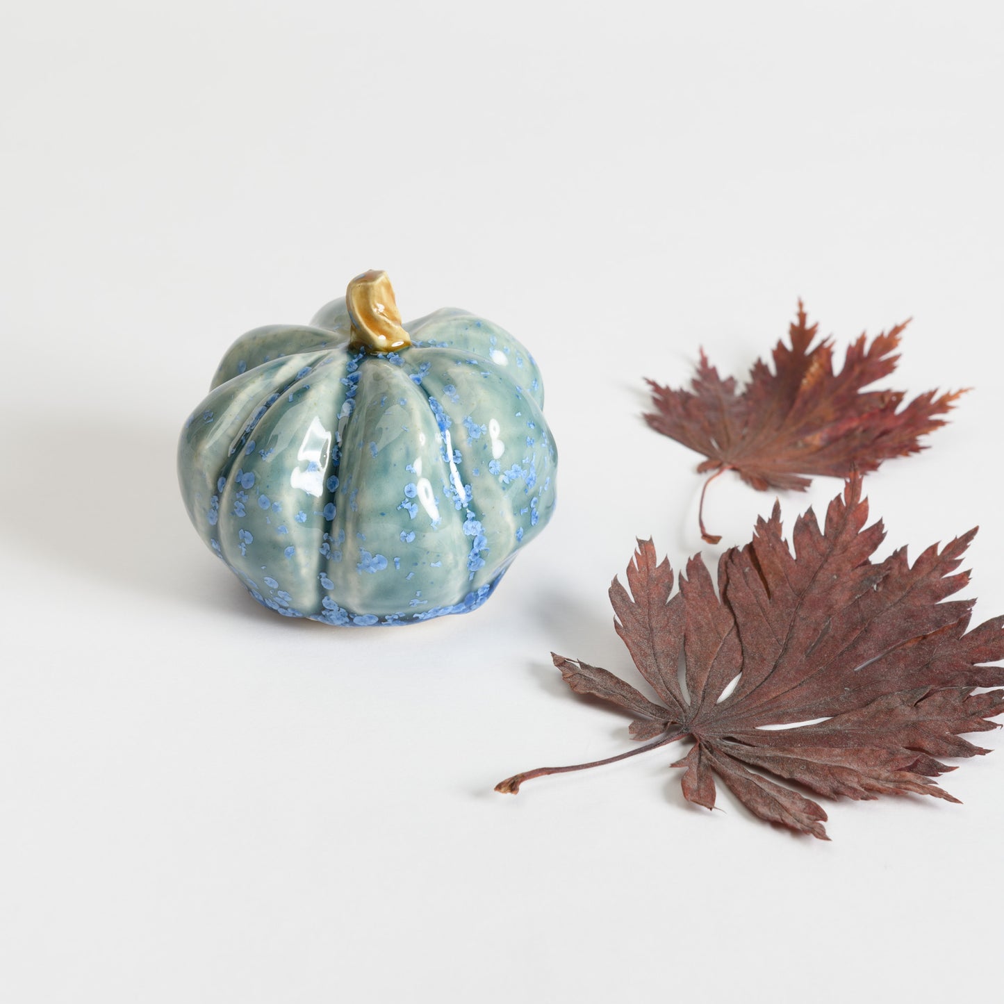 Pumpkin - Teal #2
