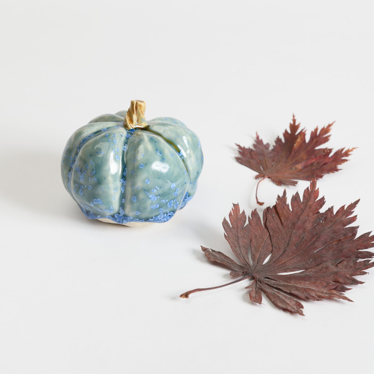 Pumpkin - Teal #2