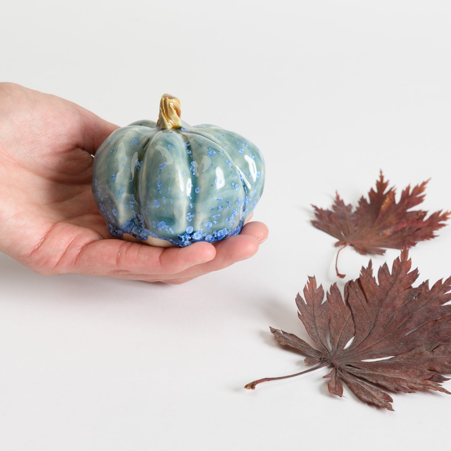 Pumpkin - Teal #2