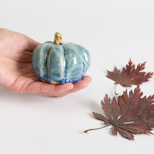 Pumpkin - Teal #2