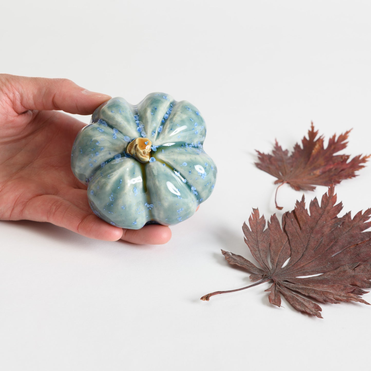 Pumpkin - Teal #2