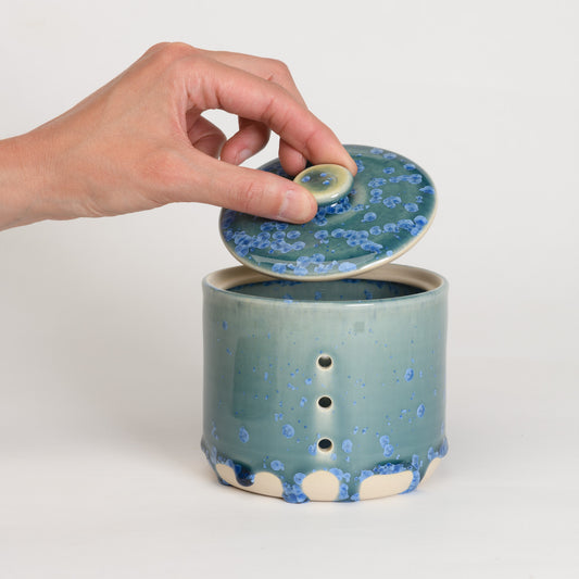 Garlic Keeper - Crystal Teal (second)