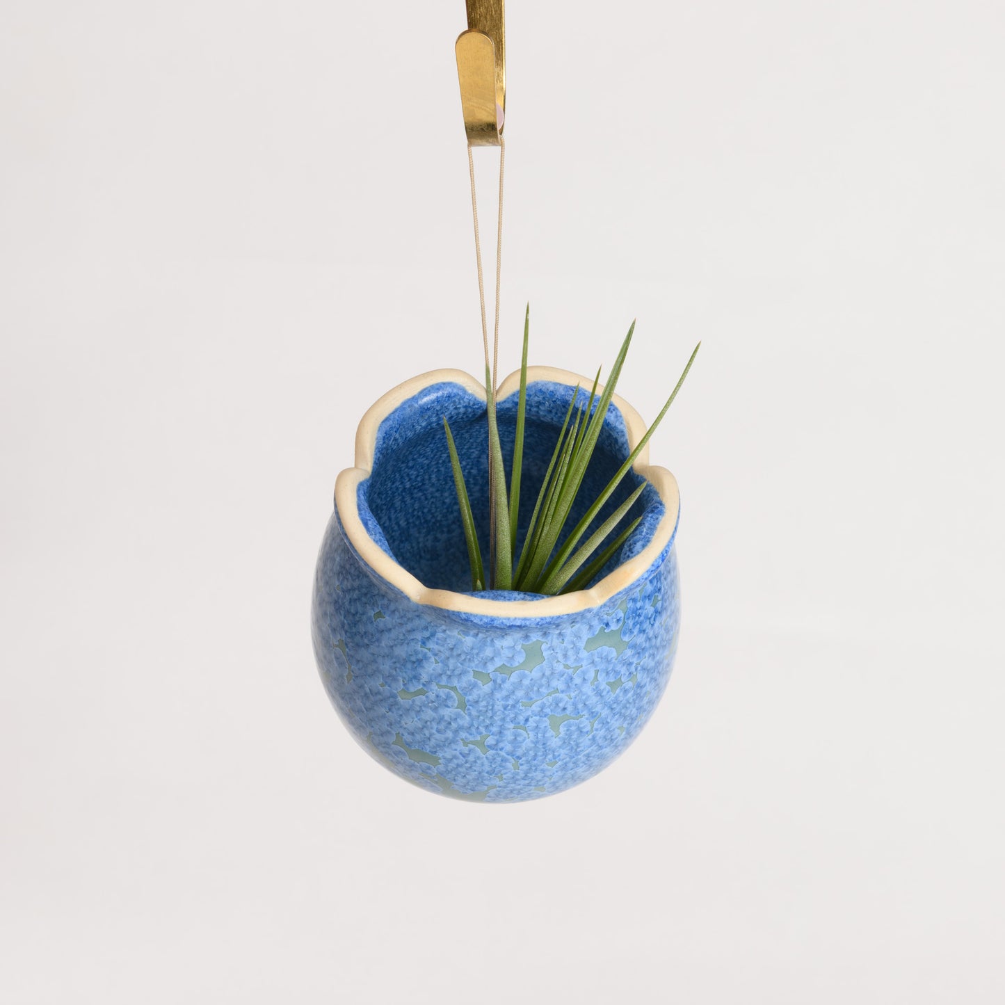 Hanging Air Plant Holder