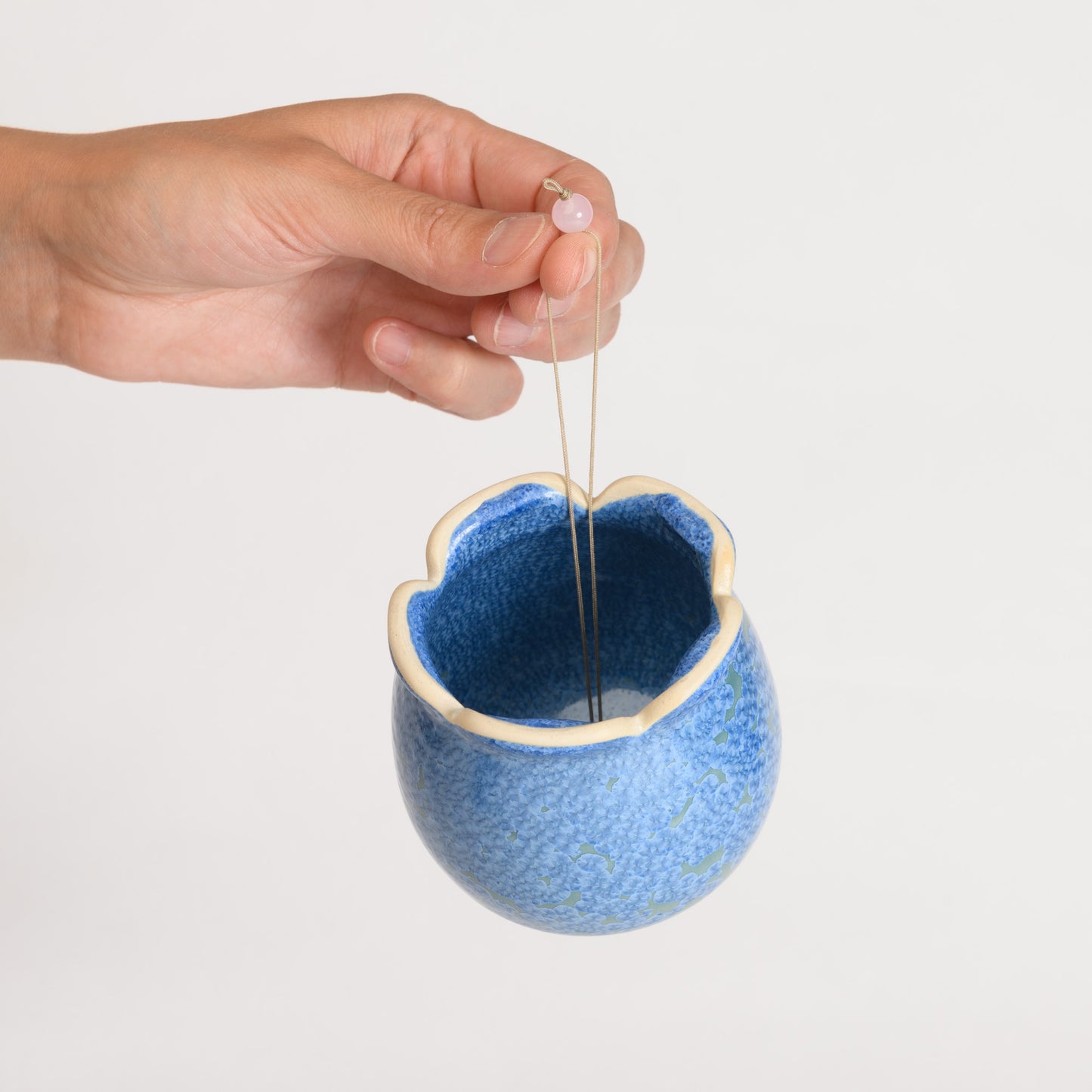 Hanging Air Plant Holder