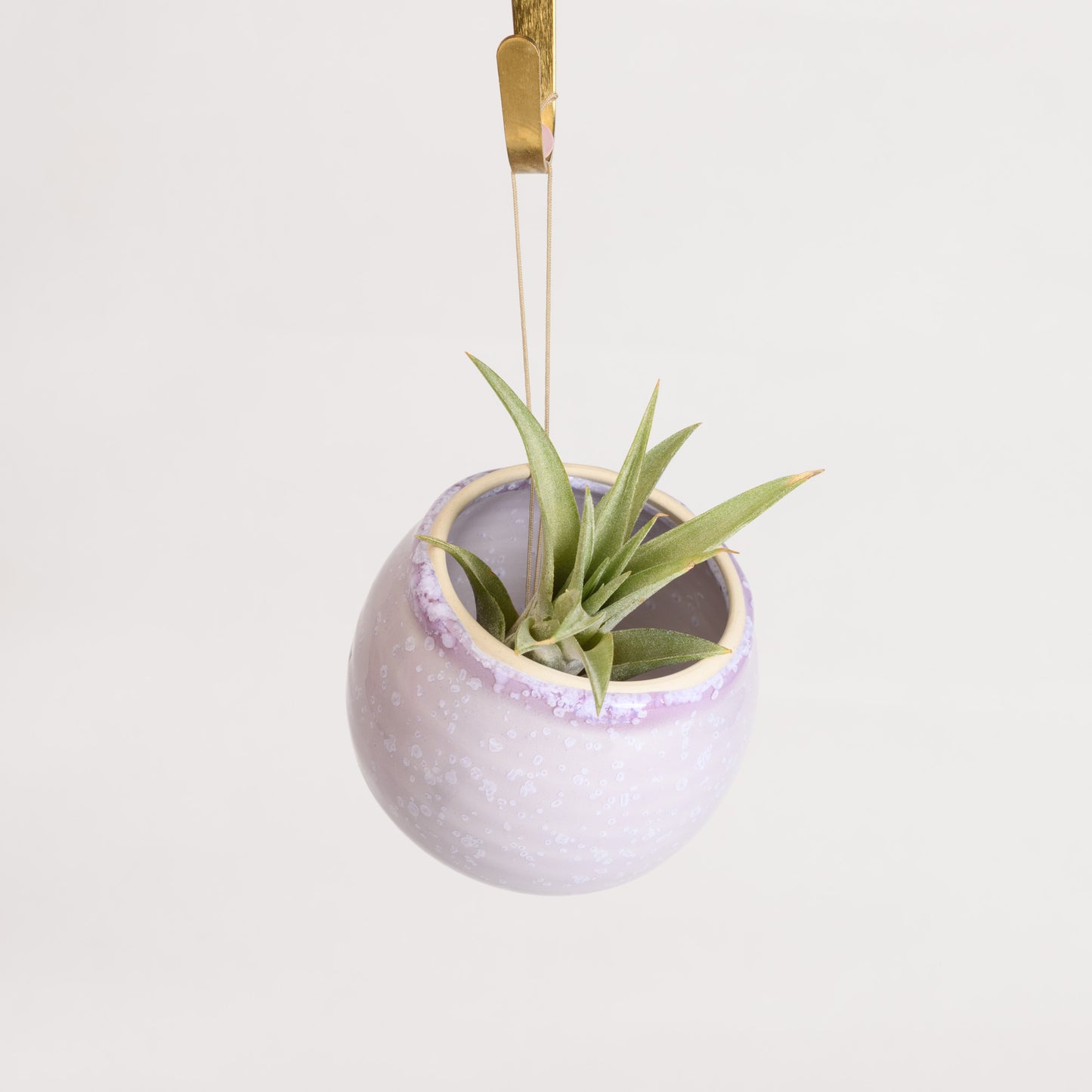 Hanging Air Plant Holder