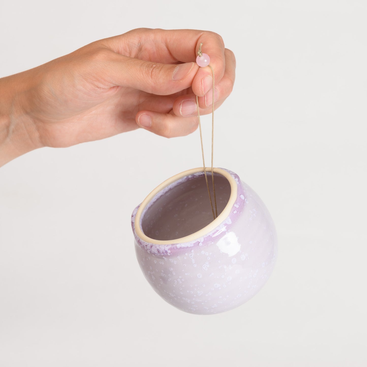 Hanging Air Plant Holder