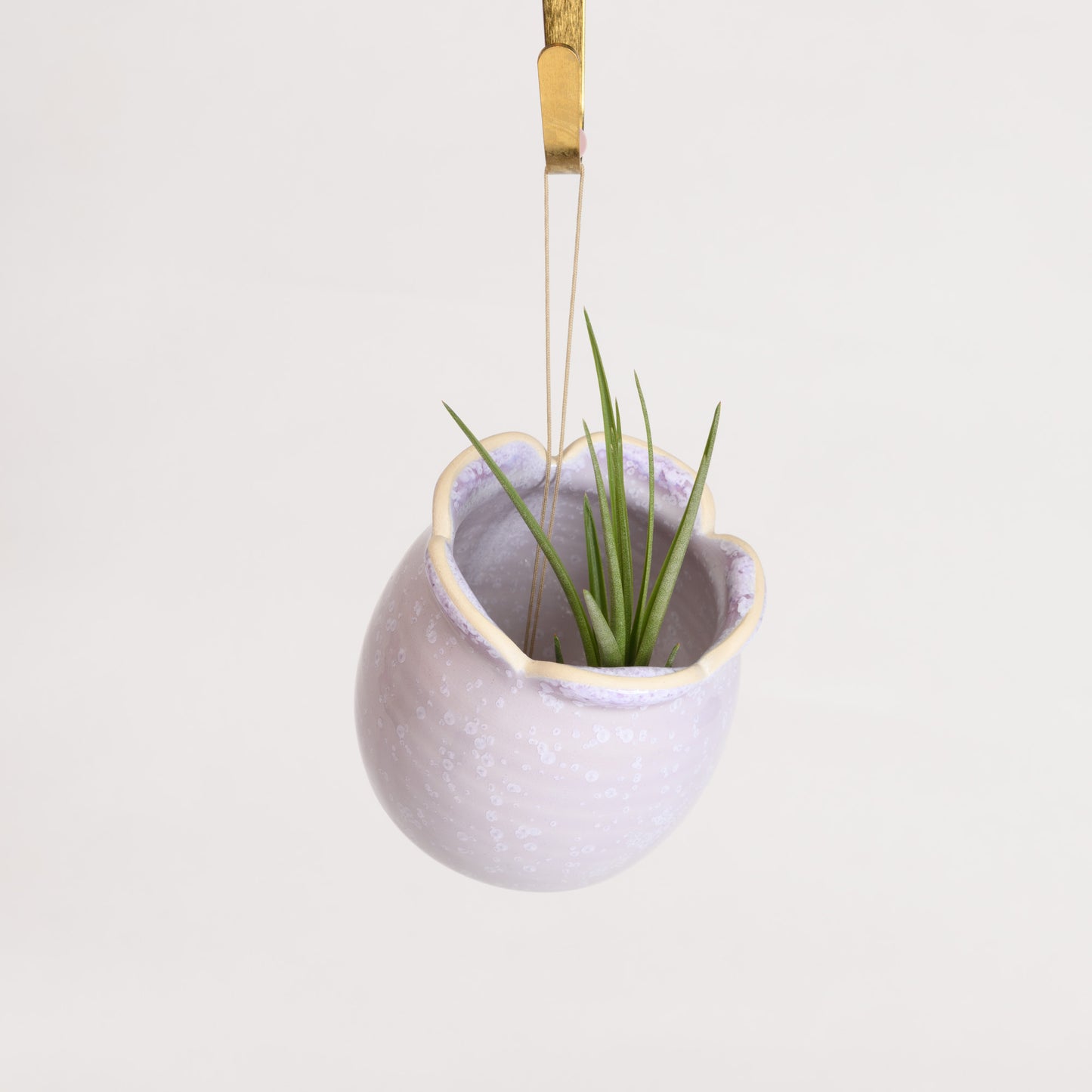 Hanging Air Plant Holder