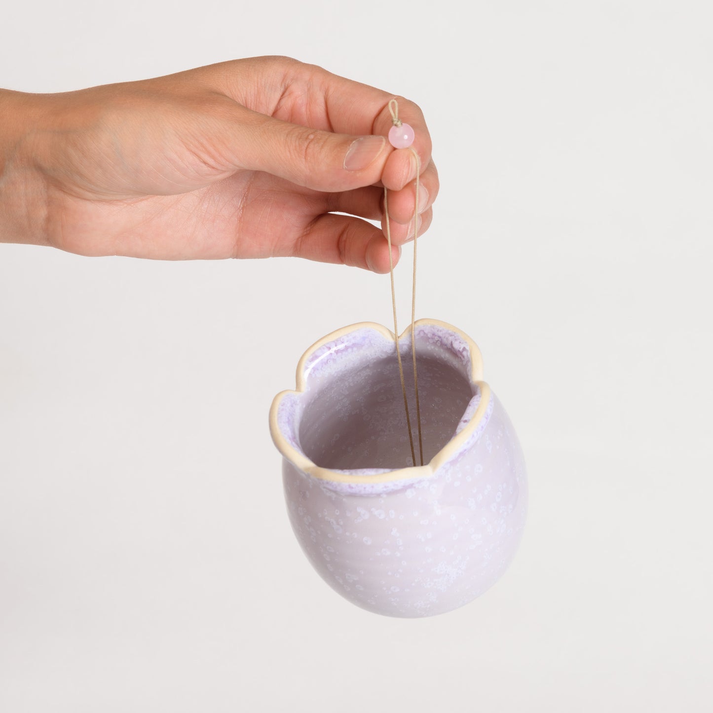 Hanging Air Plant Holder