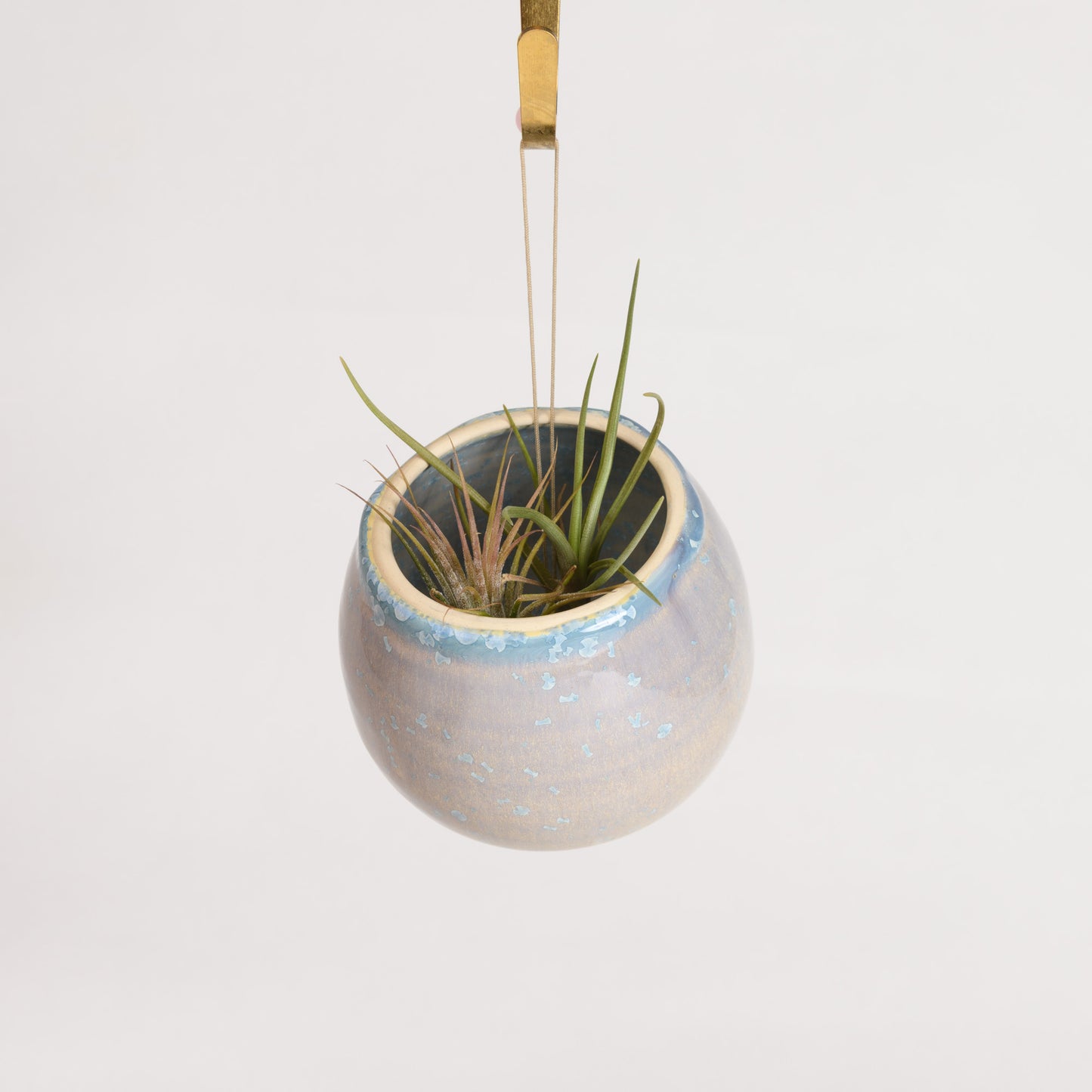 Hanging Air Plant Holder