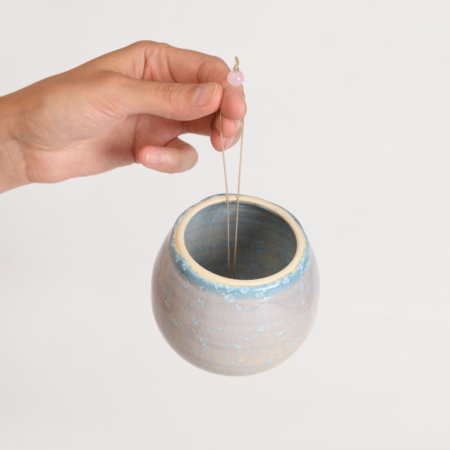 Hanging Air Plant Holder