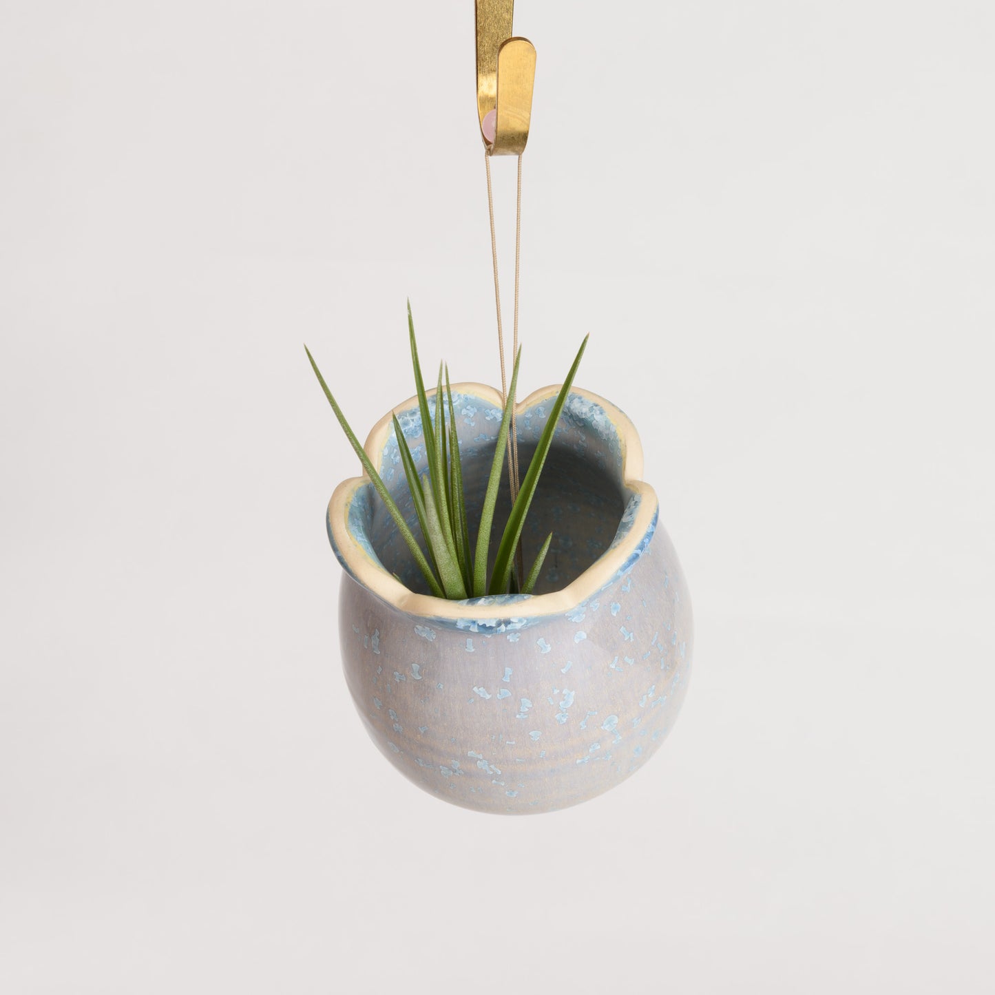 Hanging Air Plant Holder