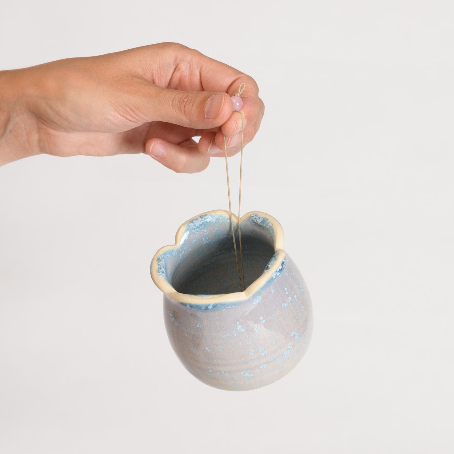 Hanging Air Plant Holder