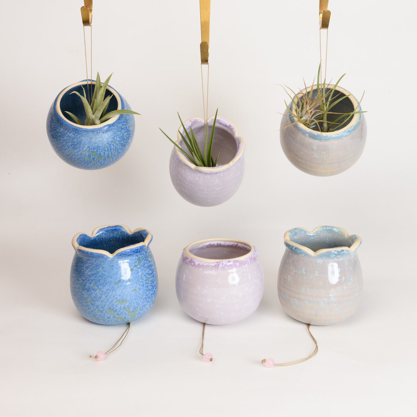 Hanging Air Plant Holder