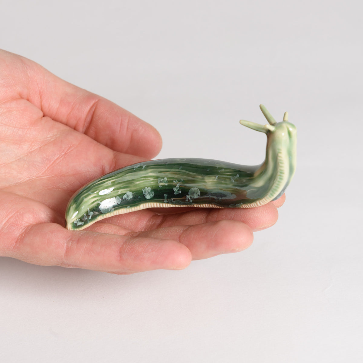 Slug - Moss