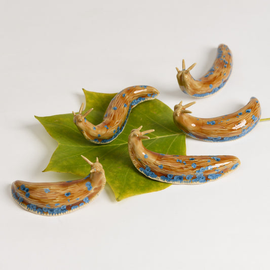 Slug - Amber