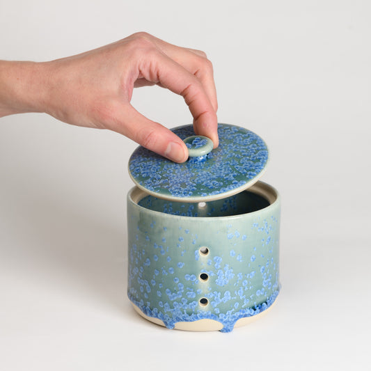 Garlic Keeper - Crystal Teal