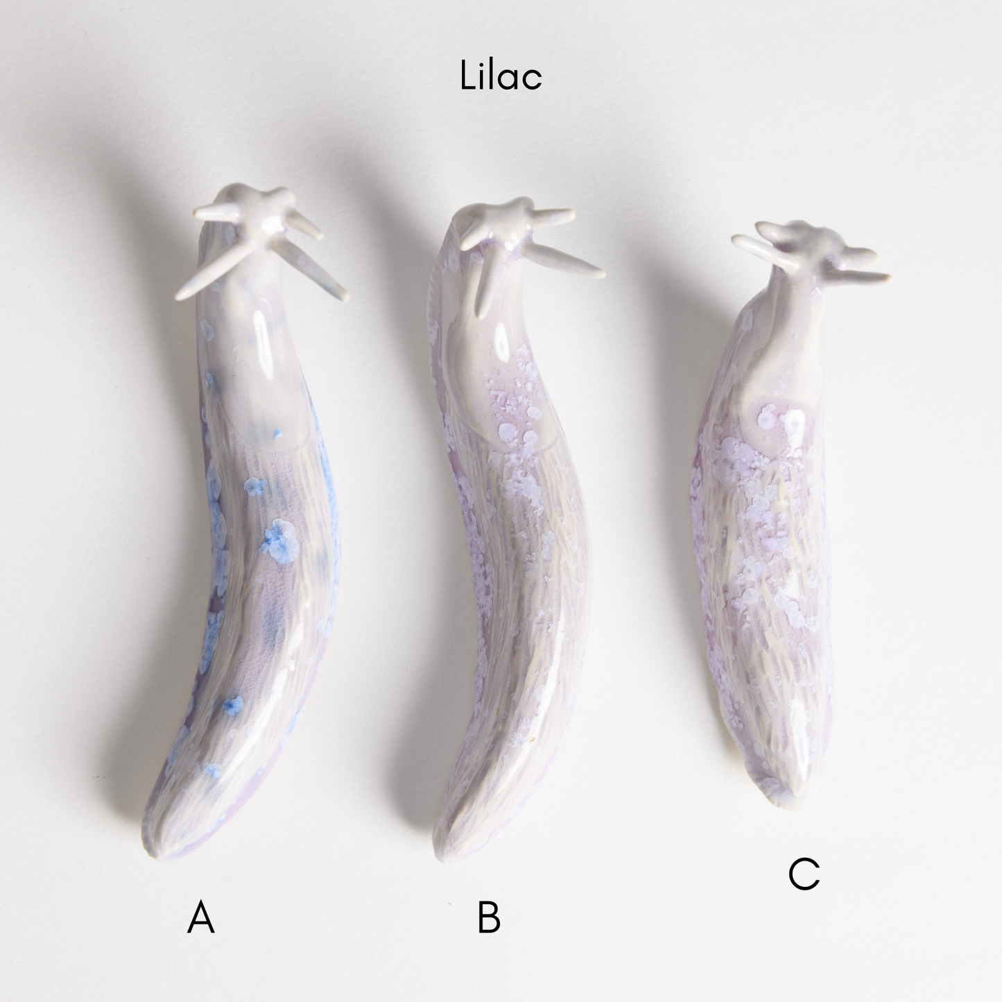 Slugs