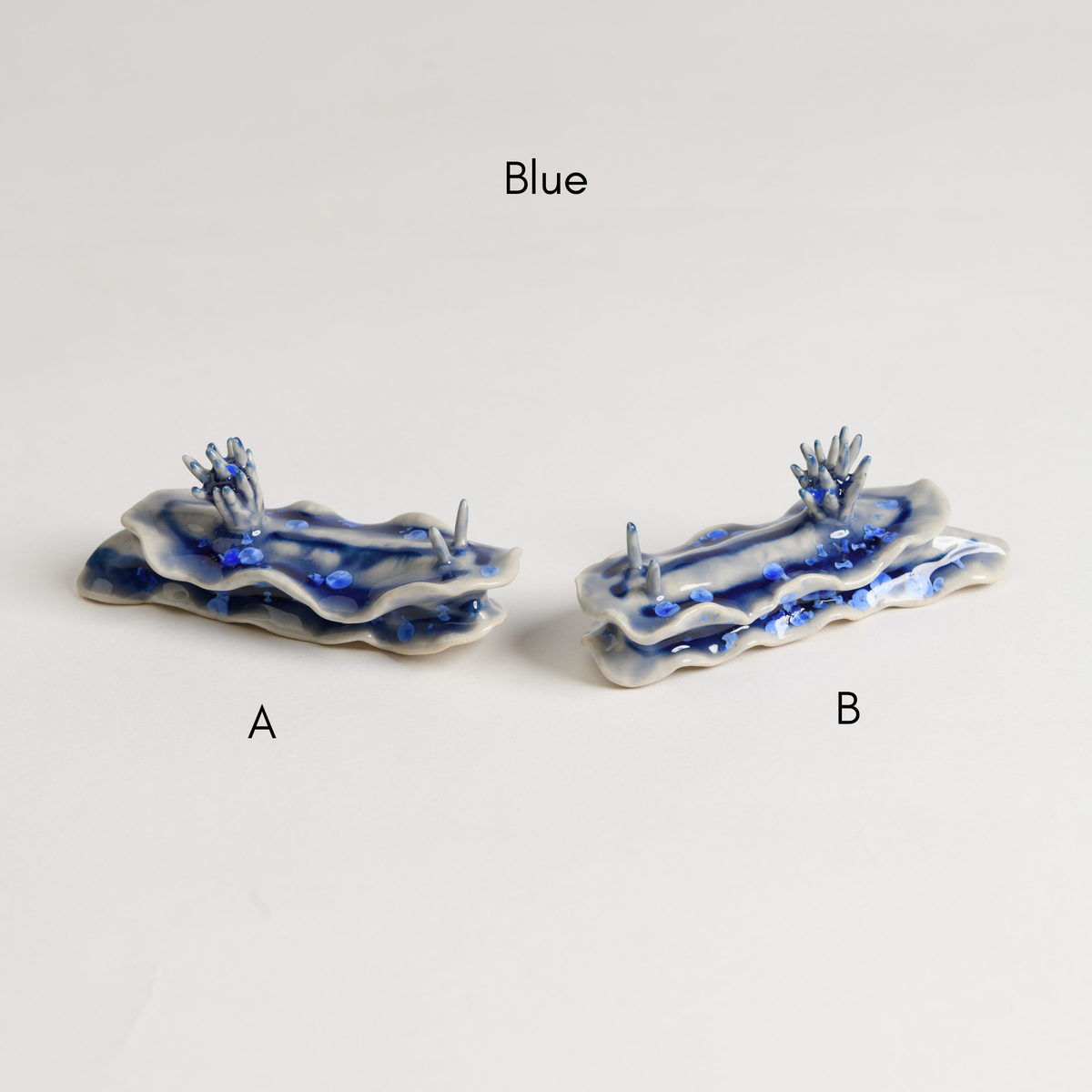 Sea Slug