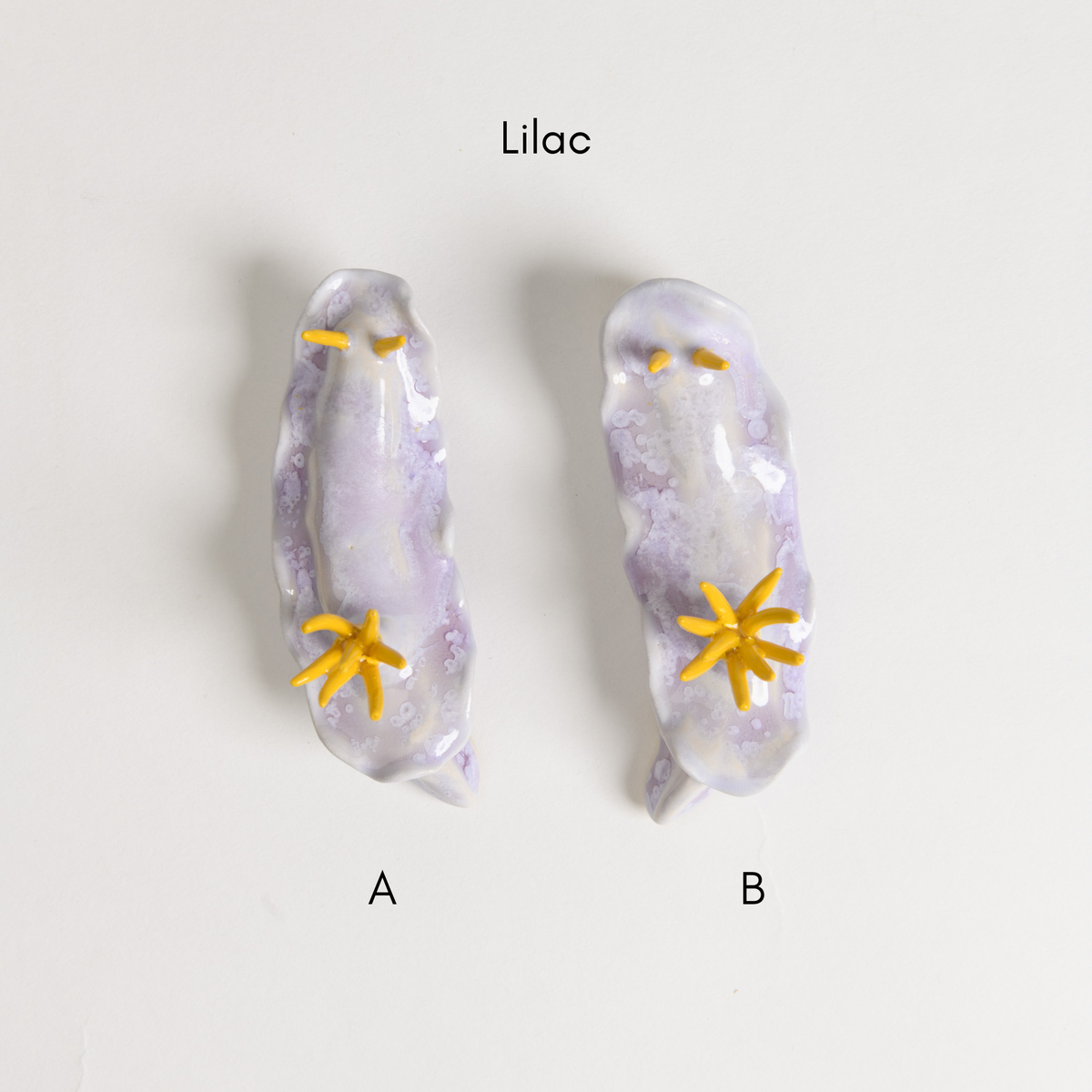 Sea Slug