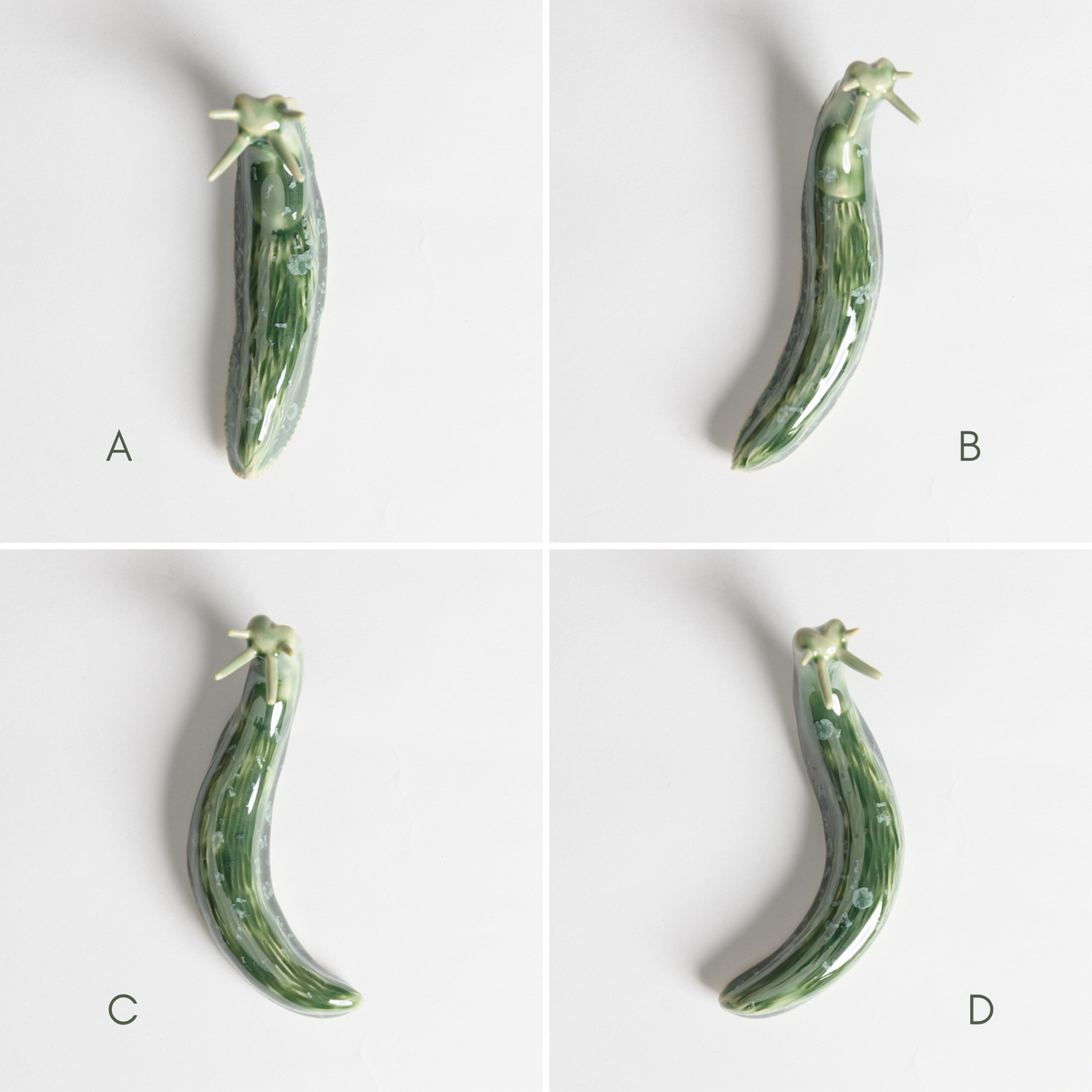 Slug - Moss