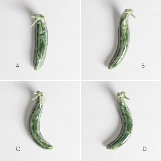 Slug - Moss
