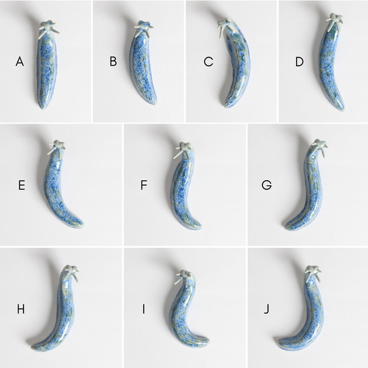 Slug - Teal
